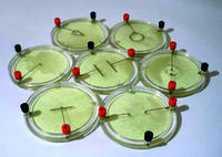 Демонстрационный комплект «Силовые линии электрического поля разных систем зарядов» - fgospostavki.ru - Апрелевка