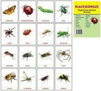 Раздаточные карточки "Насекомые" - fgospostavki.ru - Апрелевка