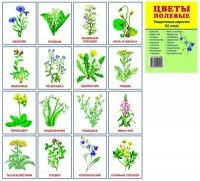 Раздаточные карточки "Цветы полевые" - fgospostavki.ru - Апрелевка