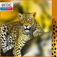 Зоология. (Цифровая база изображений) - fgospostavki.ru - Апрелевка