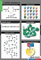 Комплект таблиц. Биология. Химия клетки. - fgospostavki.ru - Апрелевка