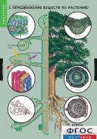 Комплект таблиц. Биология. Растение – живой организм. - fgospostavki.ru - Апрелевка