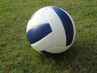 Мяч волейбольный звенящий - fgospostavki.ru - Апрелевка