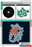 Комплект таблиц. Химия. Белки и нуклеиновые кислоты. - fgospostavki.ru - Апрелевка