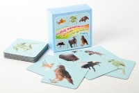 Набор магнитных карточек "Устный счет" (фон голубой) - fgospostavki.ru - Апрелевка