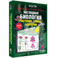 Наглядная биология. 6 класс. Растения. Грибы. Бактерии - fgospostavki.ru - Апрелевка
