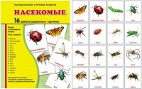 Демонстрационные карточки "Насекомые" - fgospostavki.ru - Апрелевка