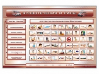 Трехсекционный базовый комплект "Травмы. Кровотечения. Ожоги" для учащихся общеобразовательных учреждений - fgospostavki.ru - Апрелевка