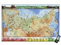 Электронно-информационный (маркерный) стенд "Природа России" адаптивный, с сенсорным пультом управления и планшетом со шрифтом Брайля - fgospostavki.ru - Апрелевка