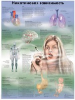 Плакат "Никотиновая зависимость" ламинированный - fgospostavki.ru - Апрелевка