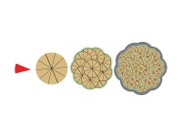 Магнитная математика Наталии Пятибратовой (Числовые фигуры) - fgospostavki.ru - Апрелевка