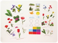 Набор магнитных карточек "Загадки-отрицания". Цветы - fgospostavki.ru - Апрелевка