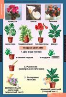 Комплект таблиц. Окружающий мир 1 класс. - fgospostavki.ru - Апрелевка