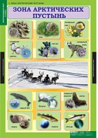 Комплект таблиц. Окружающий мир 4 класс. - fgospostavki.ru - Апрелевка