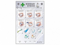 Интерактивный стенд "Живые зубки" - fgospostavki.ru - Апрелевка