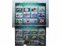 Комбинированный модульный комплекс "Лого-биолог" - fgospostavki.ru - Апрелевка