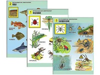 Комплект таблиц "Окружающий мир. Животный мир" (8 таблиц, А1, ламинированные) - fgospostavki.ru - Апрелевка