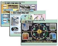 Комплект таблиц "Окружающий мир. Изменения в живой и неживой природе" (10 таблиц, А1, ламинированные) - fgospostavki.ru - Апрелевка