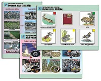 Комплект таблиц "Окружающий мир. Экология" (6 таблиц, А1, ламинированные) - fgospostavki.ru - Апрелевка