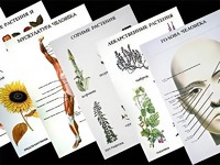 Таблицы по природоведению 1-3 класс (46 штук, формат А2) - fgospostavki.ru - Апрелевка