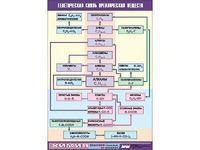 Таблица демонстрационная "Генетическая связь органических веществ" (винил 100x140) - fgospostavki.ru - Апрелевка