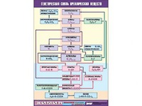 Таблица демонстрационная "Генетическая связь органических веществ" (винил 70x100) - fgospostavki.ru - Апрелевка