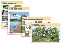 Комплект таблиц по биологии демонстрационных "Общая биология 2" (14 таблиц, формат А1, ламинированные) - fgospostavki.ru - Апрелевка