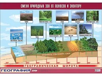 Таблица демонстрационная "Смена природных зон от полюсов к экватору" (винил 70*100) - fgospostavki.ru - Апрелевка