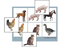 Логопедическое лото "Домашние животные" (4 планшета, 24 карточки, цветное, ламинированное) - fgospostavki.ru - Апрелевка