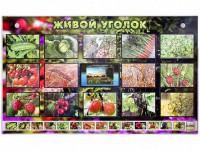 Комплект оборудования "Живой уголок" (растения) с тифлопереводом и сурдокомментариями - fgospostavki.ru - Апрелевка