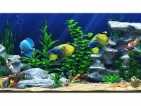 Интерактивный аттракционный комплекс "Водный мир" - fgospostavki.ru - Апрелевка