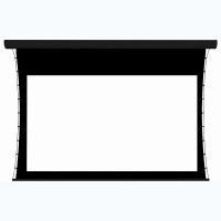 Экран настенный с электроприводом DSTPX-16916 - fgospostavki.ru - Апрелевка