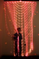 Мерцающий занавес в комплекте с источником света - fgospostavki.ru - Апрелевка
