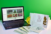 Гербарий натурально-интерактивный "Лекарственные растения" - fgospostavki.ru - Апрелевка