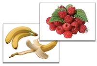 Дидактическое пособие "Фрукты, ягоды, орехи" (24 карточки) - fgospostavki.ru - Апрелевка