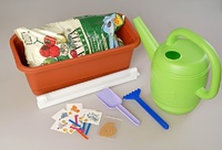 Набор "Я учусь выращивать растения" - fgospostavki.ru - Апрелевка