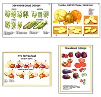 Плакаты ПРОФТЕХ "Ассортимент овощных культур" (12 пл, винил, 70х100) - fgospostavki.ru - Апрелевка