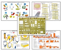 Плакаты ПРОФТЕХ "Сырье и материалы хлебопекарного производства" (20 пл, винил, 70х100) - fgospostavki.ru - Апрелевка