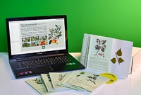 Гербарий натурально-интерактивный "Деревья и кустарники" - fgospostavki.ru - Апрелевка