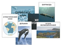 Модель-аппликация "Океаны. Знакомство" (ламинированная) - fgospostavki.ru - Апрелевка