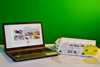 Коллекция натурально-интерактивная "Кварц в природе" - fgospostavki.ru - Апрелевка