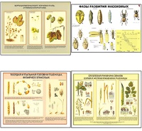 Плакаты ПРОФТЕХ "Вредители и болезни с/х культур и меры борьбы с ними" (11 пл, винил, 70х100) - fgospostavki.ru - Апрелевка