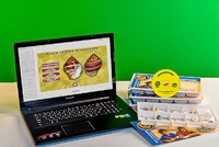 Коллекция натурально-интерактивная "Раковины моллюсков" - fgospostavki.ru - Апрелевка