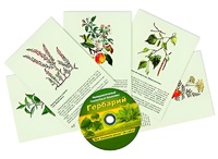 Интерактивный наглядный комплекс "Гербарий "Для начальной школы" - fgospostavki.ru - Апрелевка