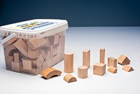 Игровой набор Фребеля "Конструктор" (111 элементов, бук, серия "Красота вокруг нас") - fgospostavki.ru - Апрелевка