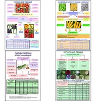 Плакаты ПРОФТЕХ "Классификация овощей" (11 пл, винил, 70х100) - fgospostavki.ru - Апрелевка