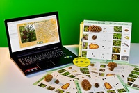 Коллекция натурально-интерактивная "Шишки, плоды, семена деревьев и кустарников" - fgospostavki.ru - Апрелевка