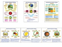 Плакаты ПРОФТЕХ "Плоды" (6 пл, винил, 70х100) - fgospostavki.ru - Апрелевка