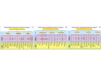 Плакаты ПРОФТЕХ "Ассортимент продовольственных товаров" (3 пл, винил, 70х100) - fgospostavki.ru - Апрелевка