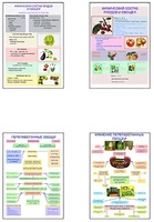 Плакаты ПРОФТЕХ "Классификация овощей и переработка" (8 пл, винил, 70х100) - fgospostavki.ru - Апрелевка